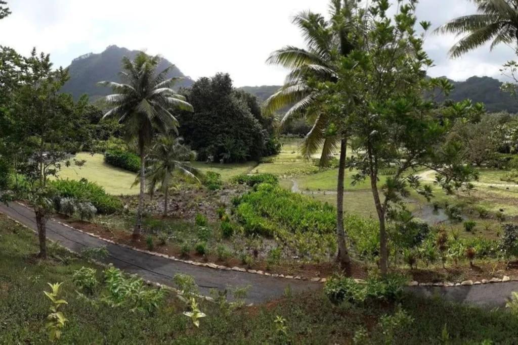 Duplex En Bord De Mer Fare Tahitea Pension Taputapuapea Exteriör bild