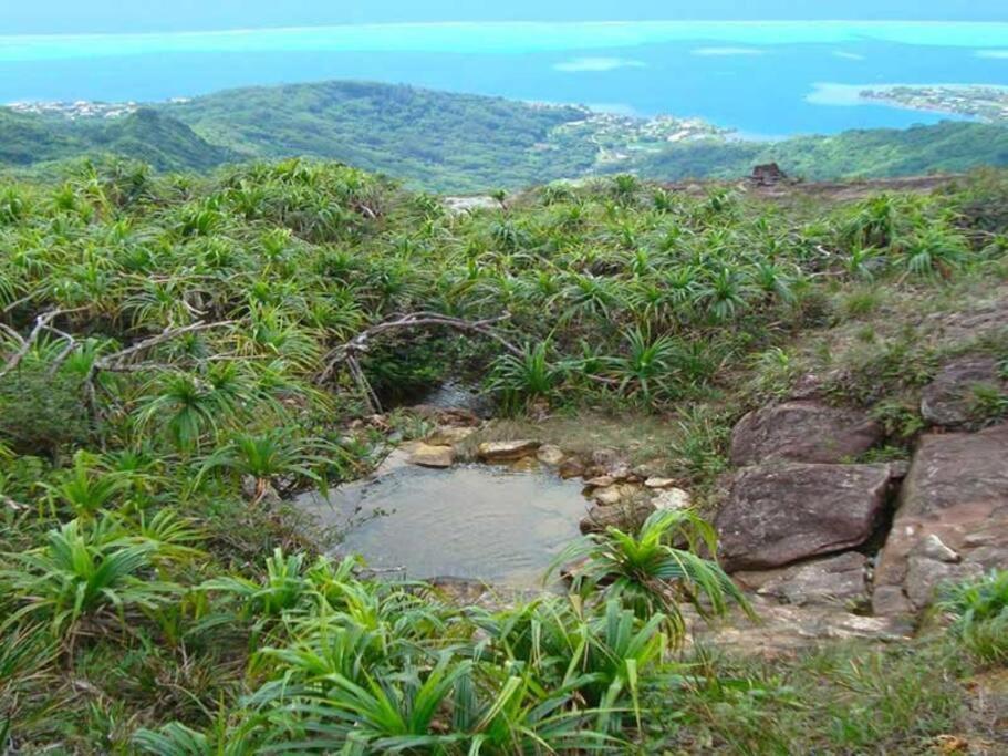 Duplex En Bord De Mer Fare Tahitea Pension Taputapuapea Exteriör bild
