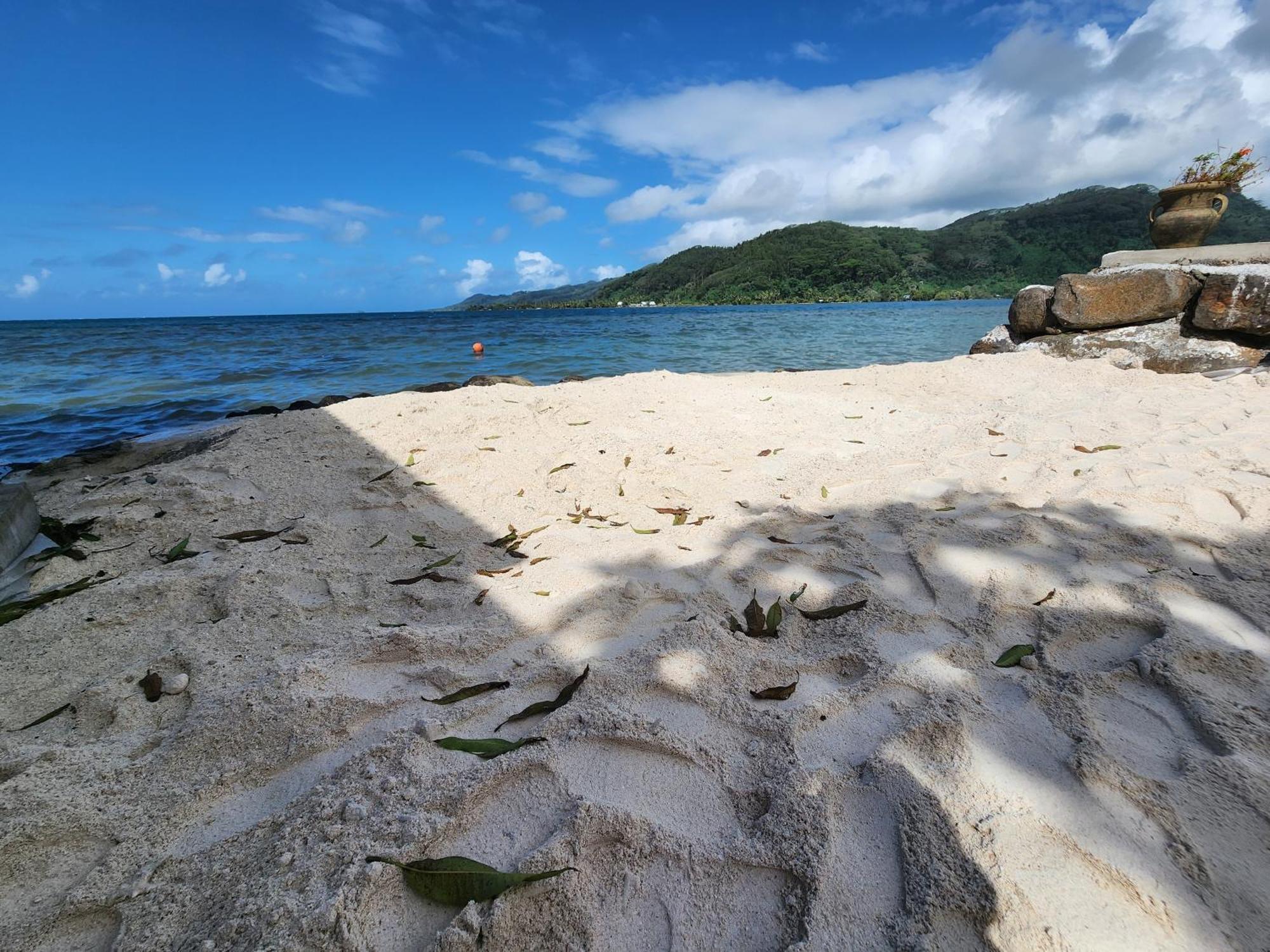 Duplex En Bord De Mer Fare Tahitea Pension Taputapuapea Exteriör bild